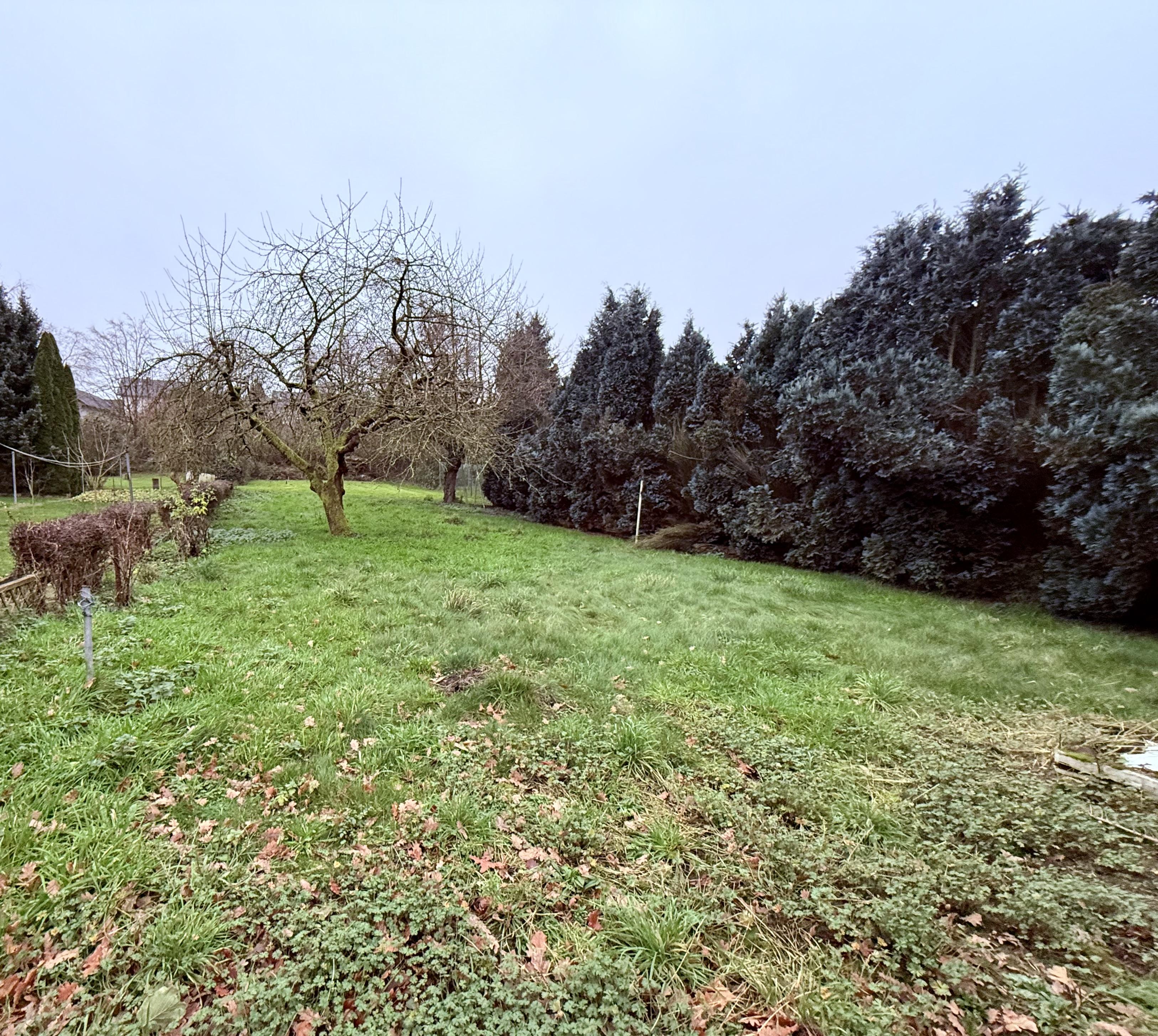 V E R K A U F T    Freihstehndes Einfamilienhaus mit Garage XXL Grundstück - Bild# 4